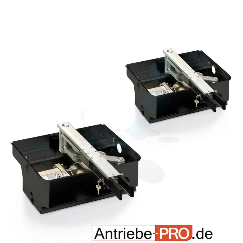 2 x FAAC 770 moteur enterré 230 V avec caisson